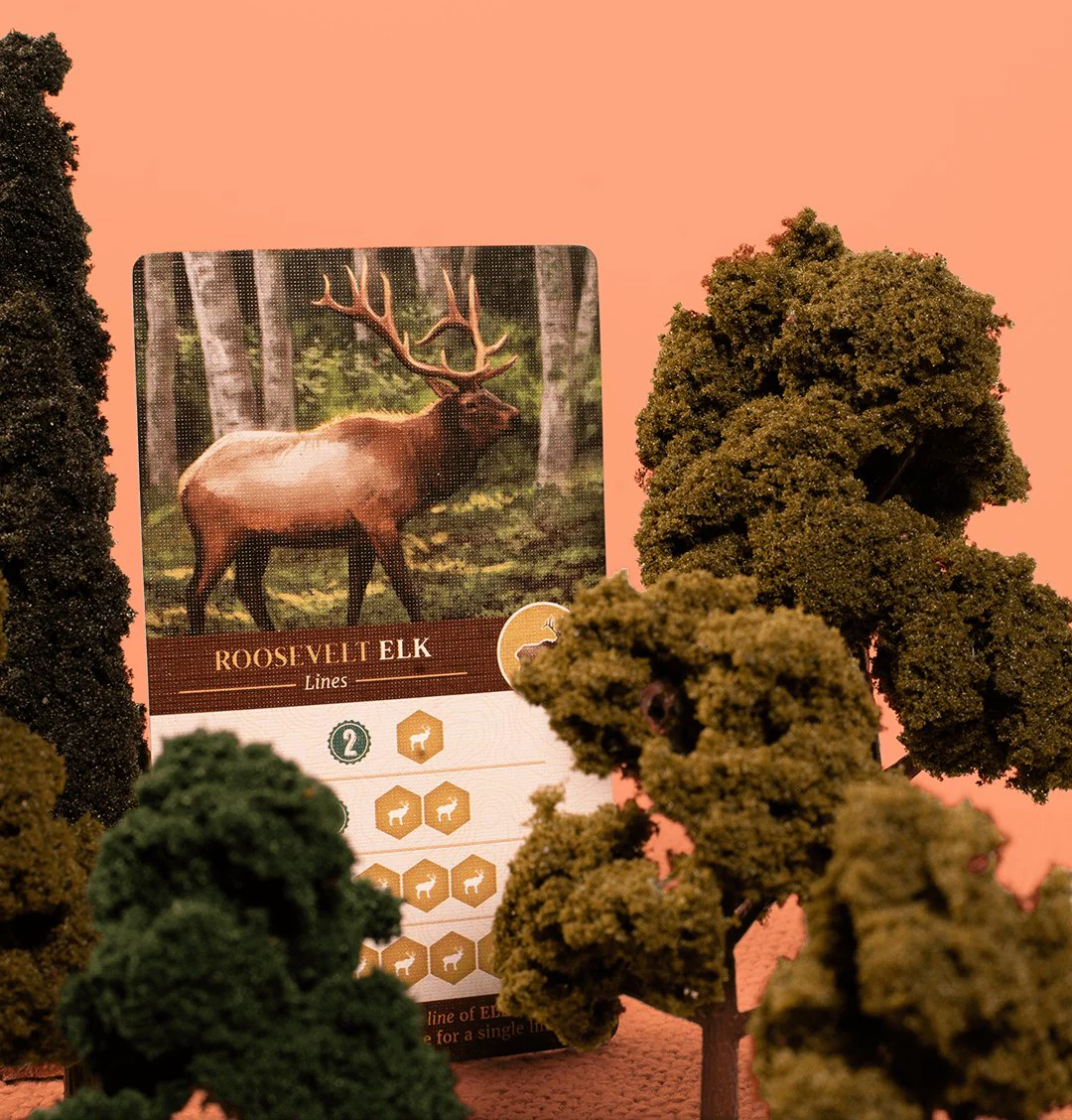 Cascadia (KS with Promo) - Image 3