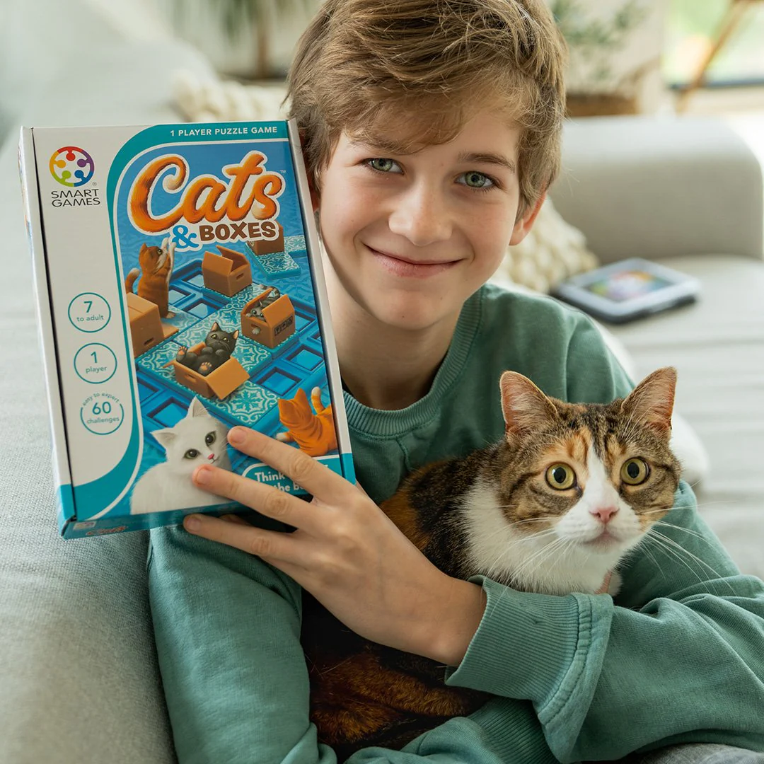 Cats & Boxes - Image 5