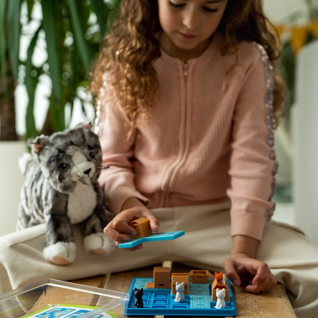 Cats & Boxes - Image 6