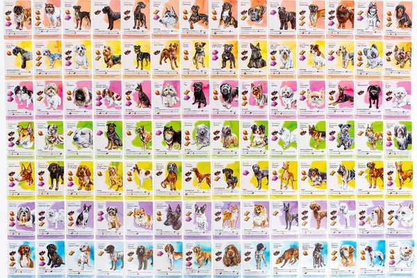 Dog Park (Standard Edition) - Image 3