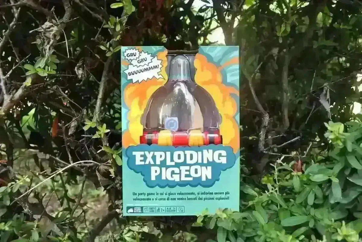 Exploding Pigeon - Image 8