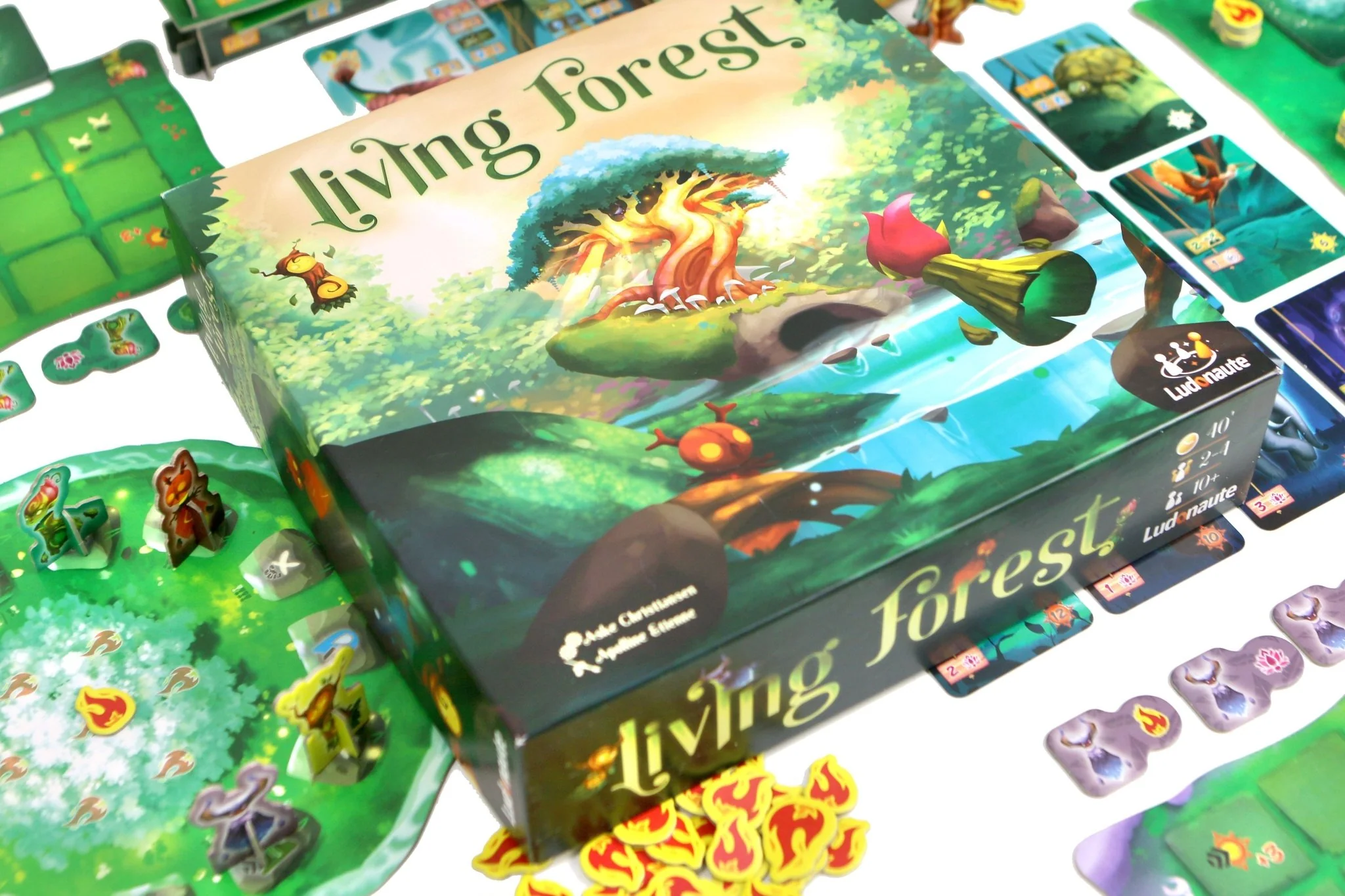 Living Forest - Image 6