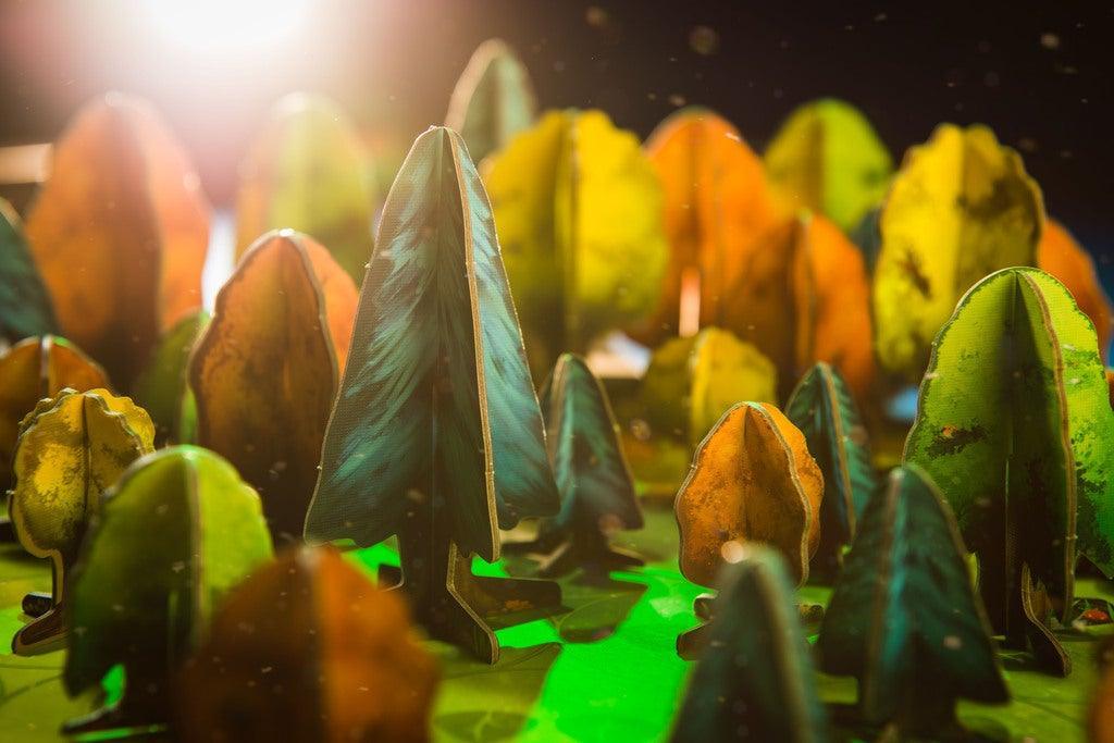 Photosynthesis - Image 3