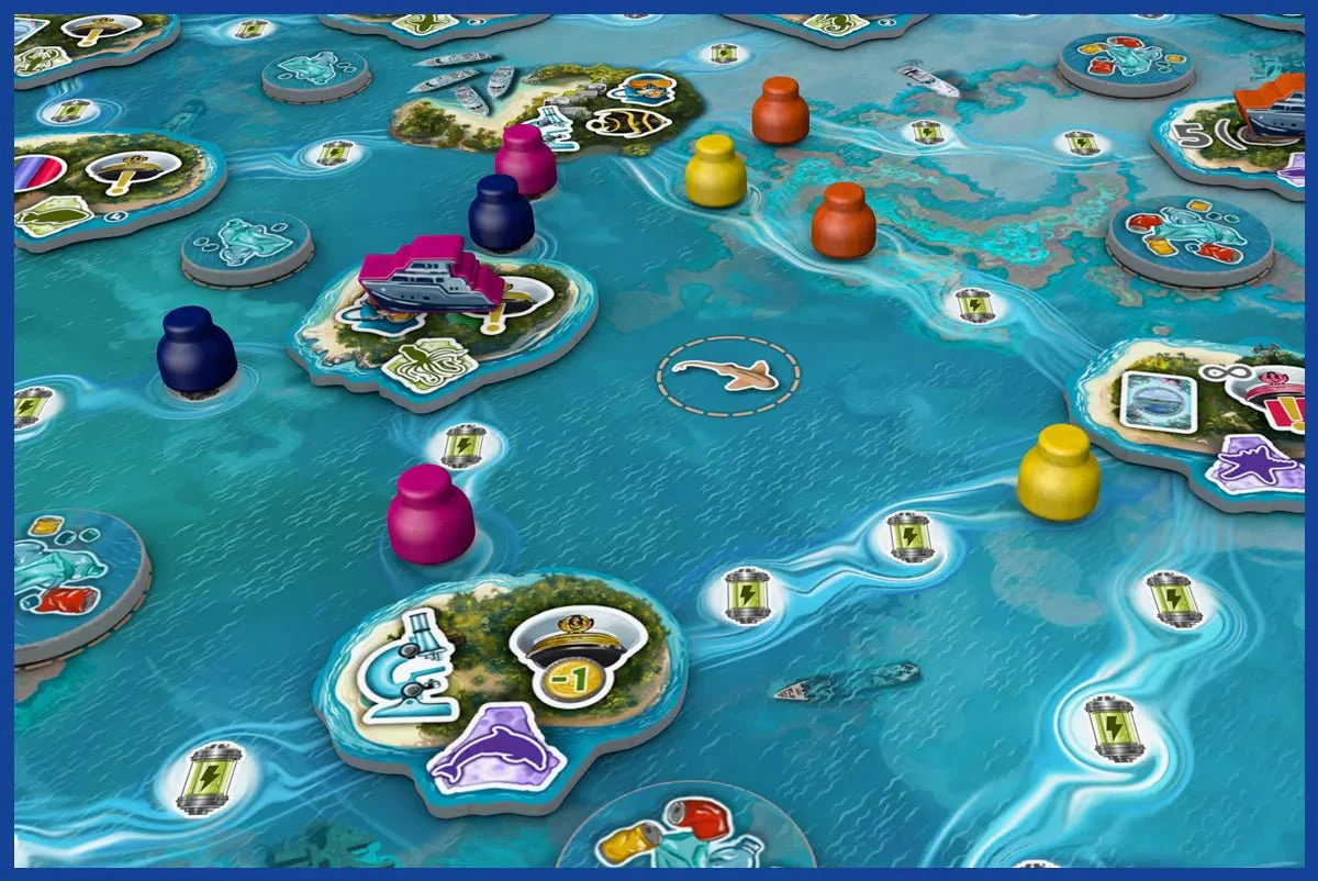 Reef Project - Image 7