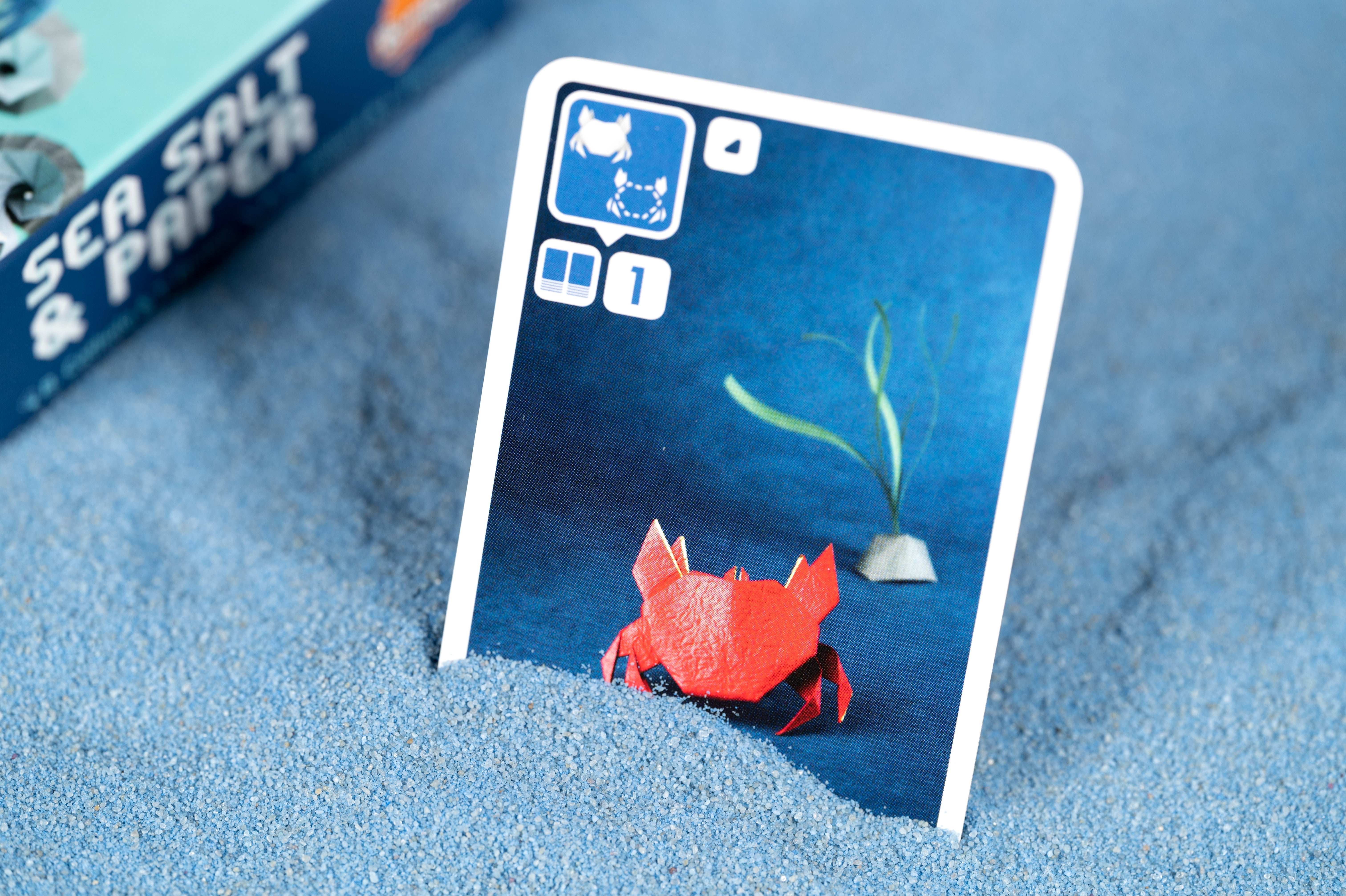 Sea Salt & Paper - Image 10