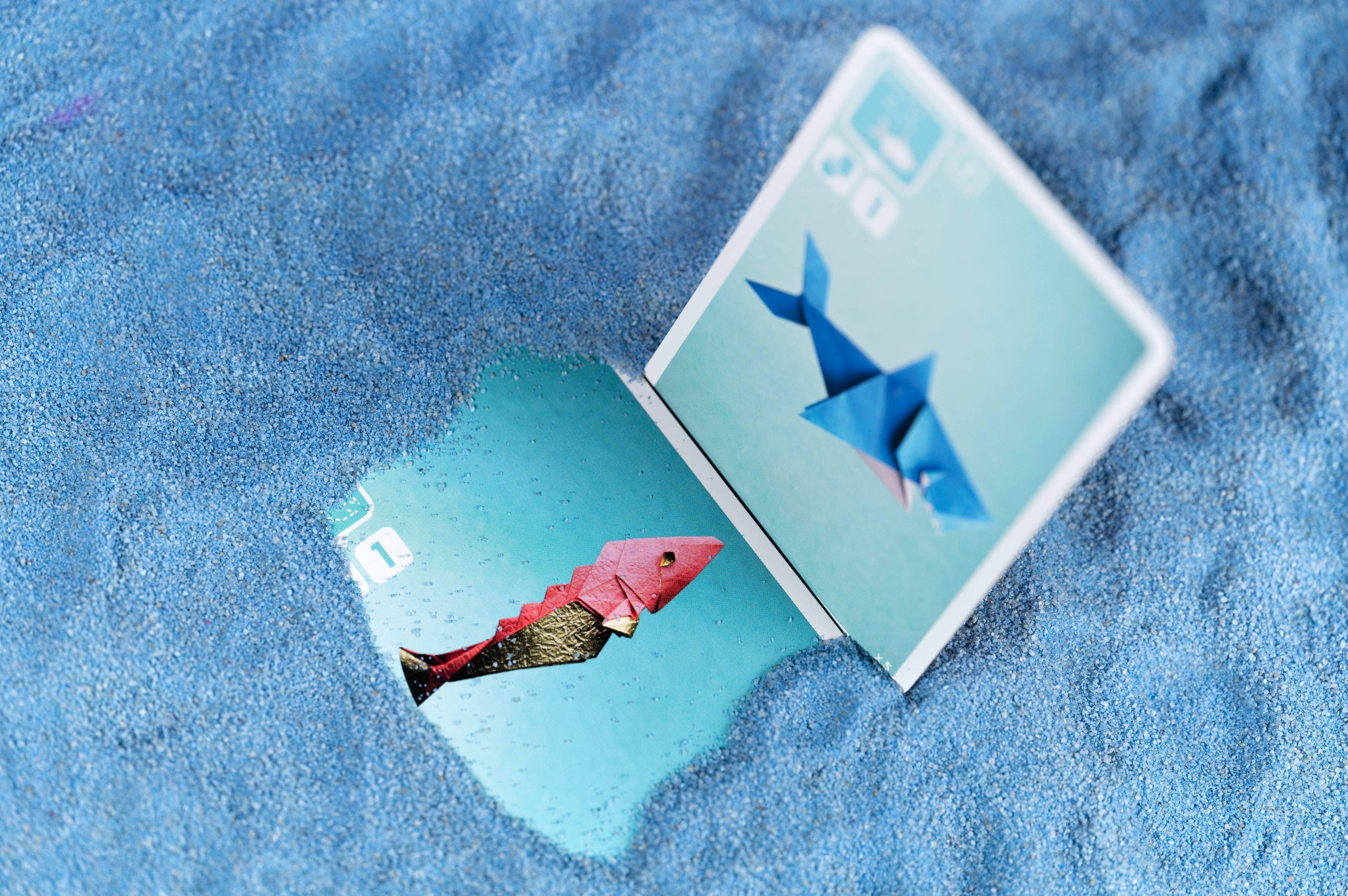 Sea Salt & Paper - Image 13