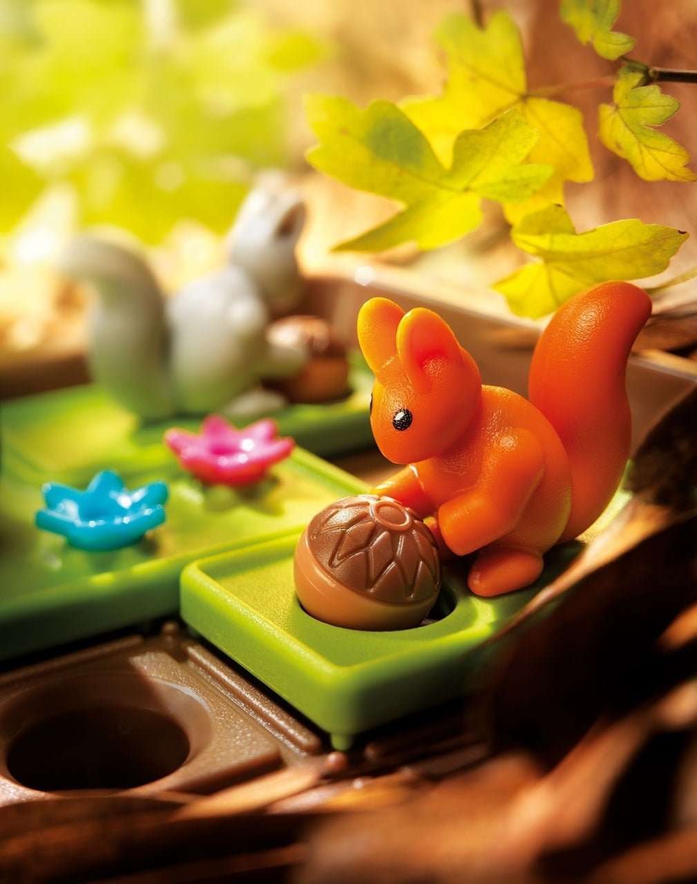 Squirrels Go Nuts! - Image 3