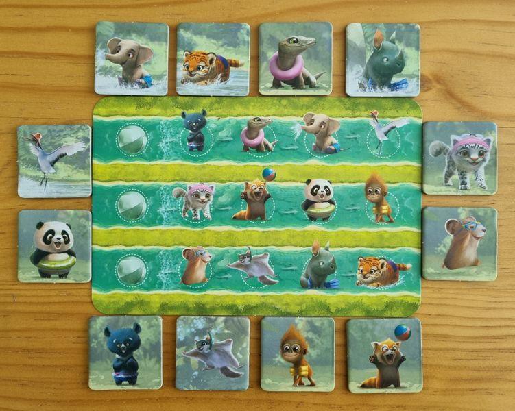Turtle Splash - Image 7