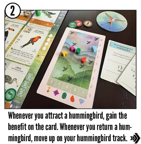 Wingspan: Americas Expansion - Image 3