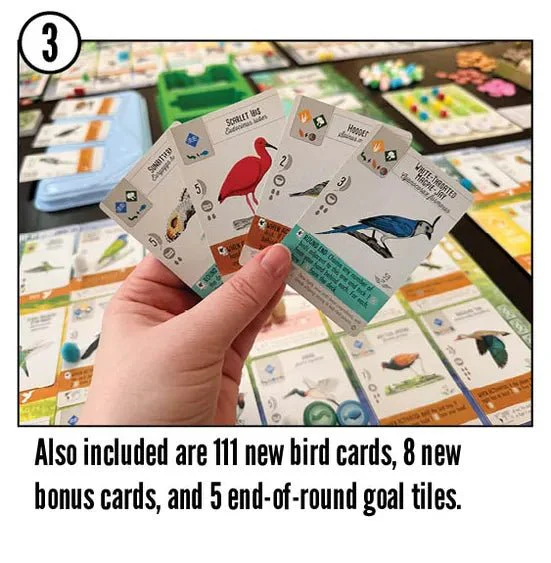 Wingspan: Americas Expansion - Image 4